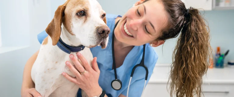 Una veterinaria con un perro de raza beagle